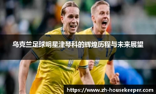 乌克兰足球明星津琴科的辉煌历程与未来展望